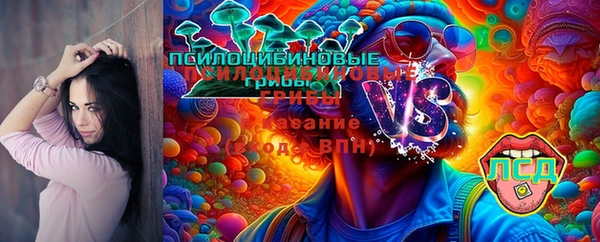 ECSTASY Сафоново
